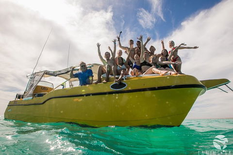 Ningaloo Immersion Private Charter - Accommodation QLD 9