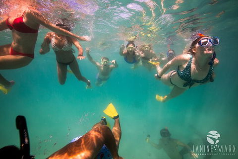 Ningaloo Immersion Private Charter - Accommodation QLD 8