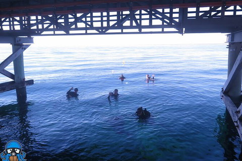 PADI Open Water Course - Accommodation QLD 3