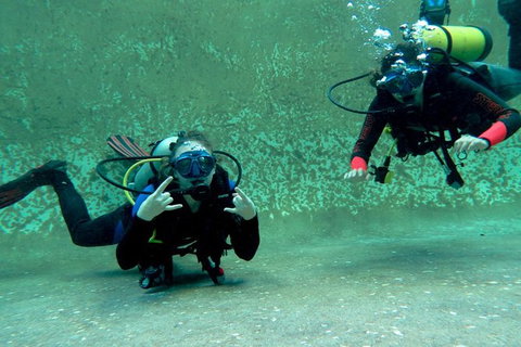 PADI Open Water Course - Accommodation QLD 4