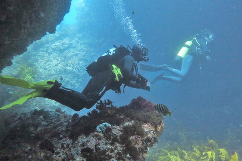 PADI Open Water Course - Accommodation QLD 2