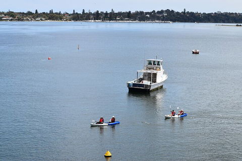 Cliffs And Caves Kayak Tour In Swan River - Accommodation QLD 5