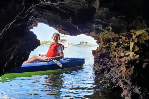 Cliffs And Caves Kayak Tour In Swan River - Accommodation QLD 3