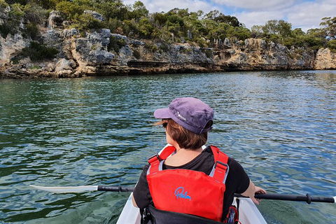 Cliffs And Caves Kayak Tour In Swan River - Accommodation QLD 1