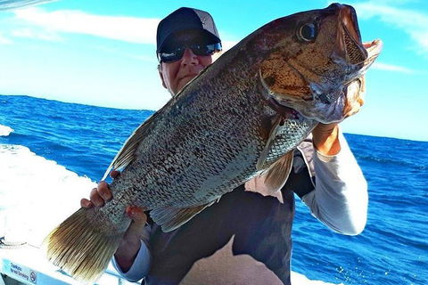 Geraldton Fishing Charter - Accommodation QLD 4