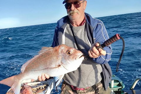 Geraldton Fishing Charter - Accommodation QLD 8