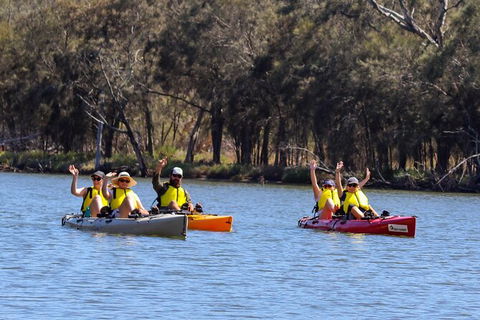 Private Guided River Kayak Tour - Accommodation QLD 0
