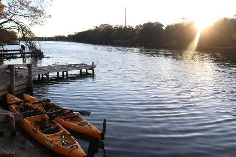 Private Guided River Kayak Tour - Accommodation QLD 1