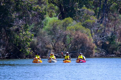 Private Guided River Kayak Tour - Accommodation QLD 6