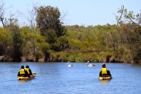 Private Guided River Kayak Tour - Accommodation QLD 4