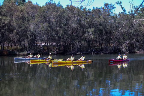 Private Guided River Kayak Tour - Accommodation QLD 5