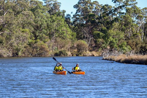 Private Guided River Kayak Tour - Accommodation QLD 7