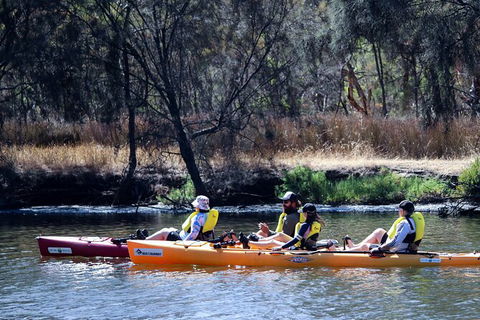 Private Guided River Kayak Tour - Accommodation QLD 3