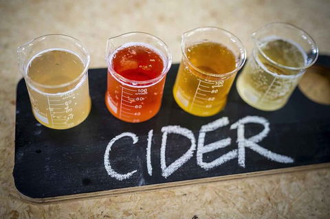 Bickley Valley Wine & Cider Tour - Premium Small Group Tour - Accommodation QLD 1