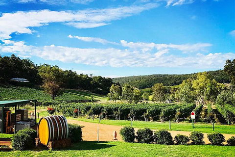 Bickley Valley Wine & Cider Tour - Premium Small Group Tour - Accommodation QLD 0