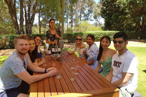 Full-Day Gourmet Wine Tour With Pick Up And Lunch - Accommodation QLD 5