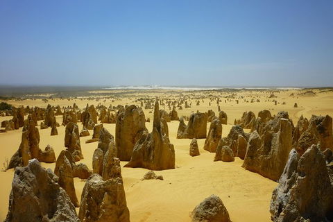 Pinnacles Desert Private Tour - Accommodation QLD 5
