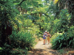 Sir Thomas Brisbane Planetarium - Accommodation QLD 0