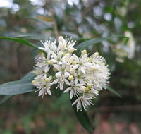 Booderee National Park - Accommodation QLD