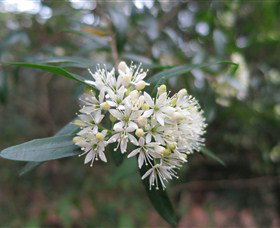 Booderee National Park - Accommodation QLD 0