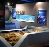 Marine and Freshwater Discovery Centre - Accommodation QLD
