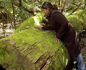 Glen Innes NSW Accommodation QLD