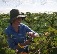 Kingsdale Wines - Accommodation QLD