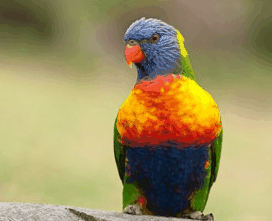 Booderee National Park - Accommodation QLD 1