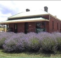 Lavender House in Railway Park - Accommodation QLD
