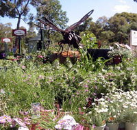 Zanthorrea Nursery - Accommodation QLD