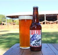 Feral Brewing Company - Accommodation QLD