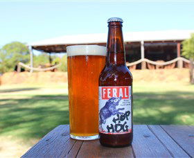 Feral Brewing Company - Accommodation QLD 0