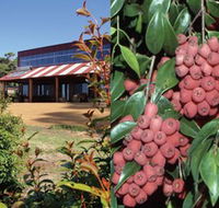 Bushfood Factory and Cafe - Accommodation QLD