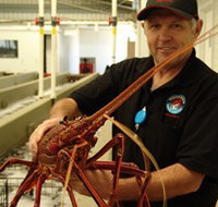 Lobster Shack - Accommodation QLD