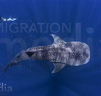 Migration Media - Accommodation QLD