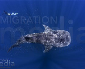 Migration Media - Accommodation QLD 0