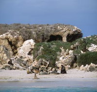 Jurien Bay Marine Park - Accommodation QLD