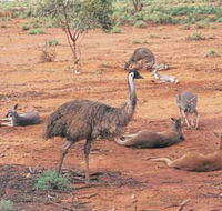 Hammond Park - Accommodation QLD