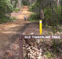 Old Timberline and Sidings Rail Trails - Accommodation QLD