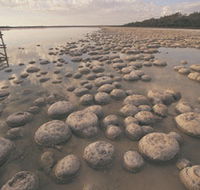 Lake Clifton Thrombolites - Accommodation QLD
