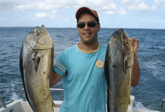 Jervis Bay Fishing and Charters - Accommodation QLD