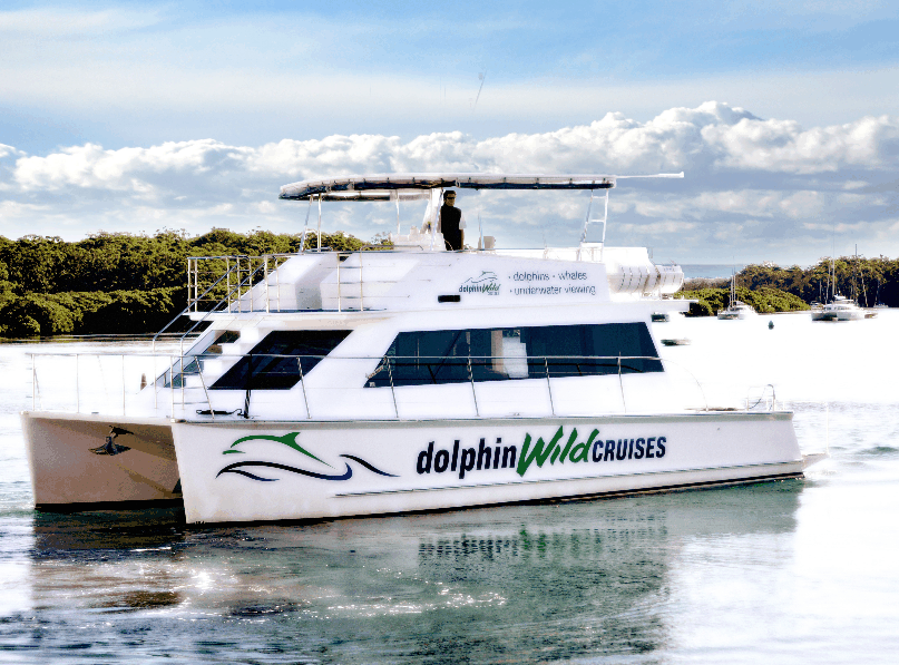 Dolphin Wild Cruises - Accommodation QLD 2