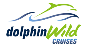 Dolphin Wild Cruises - Accommodation QLD 4