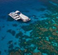 Great Adventures Reef and Green Island Cruises - Accommodation QLD