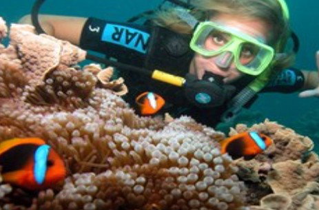 Ocean Spirit Cruises - Accommodation QLD 1