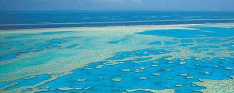 Aristocat Snorkel And Scuba Port Douglas - Accommodation QLD 3