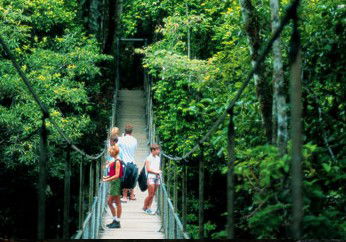 BTS Tours Pty Ltd - Accommodation QLD 4