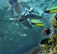 Calypso Reef Charters - Accommodation QLD