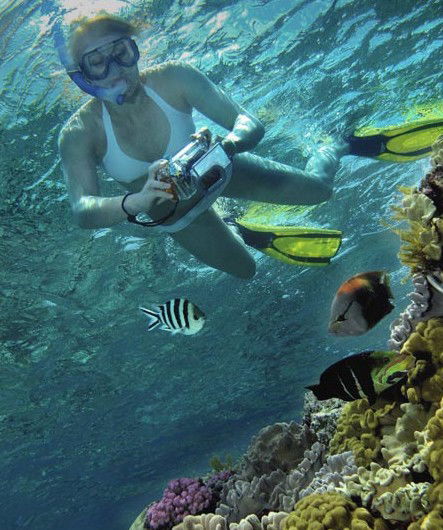 Calypso Reef Charters - Accommodation QLD 0