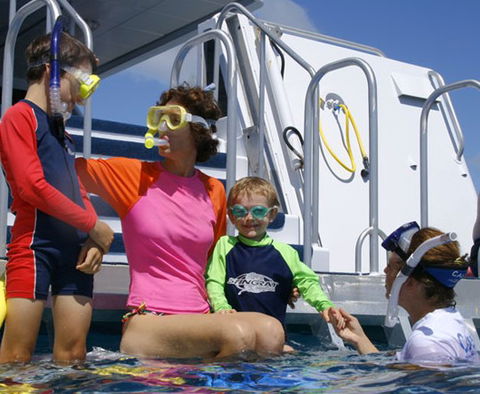 Calypso Reef Charters - Accommodation QLD 3